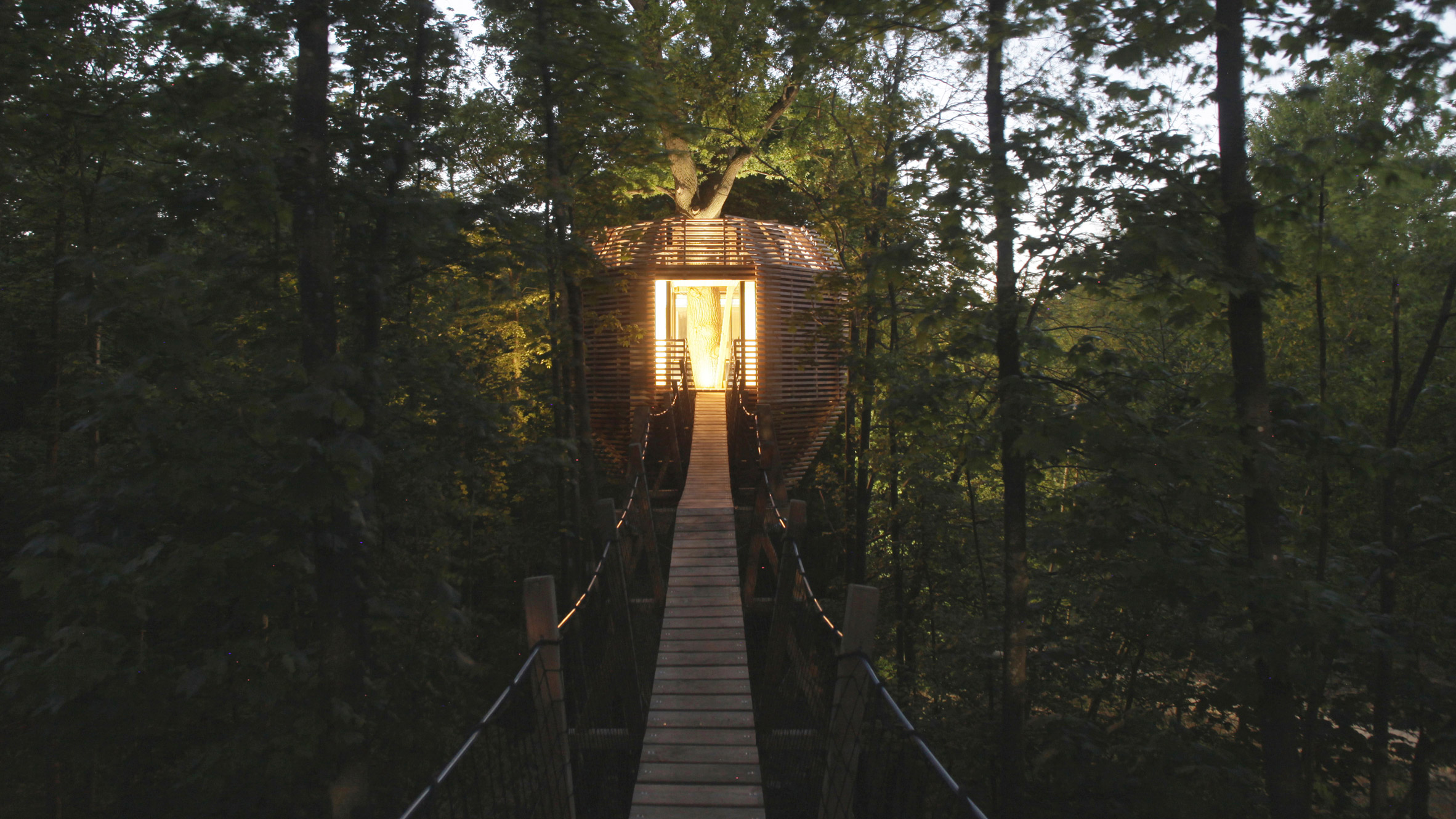 Century-old oak supports treehouse guest room in northern France-0