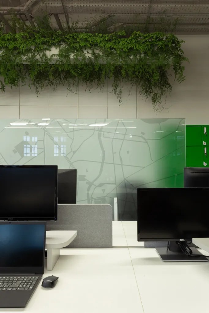 丨巴西伯南布哥-191