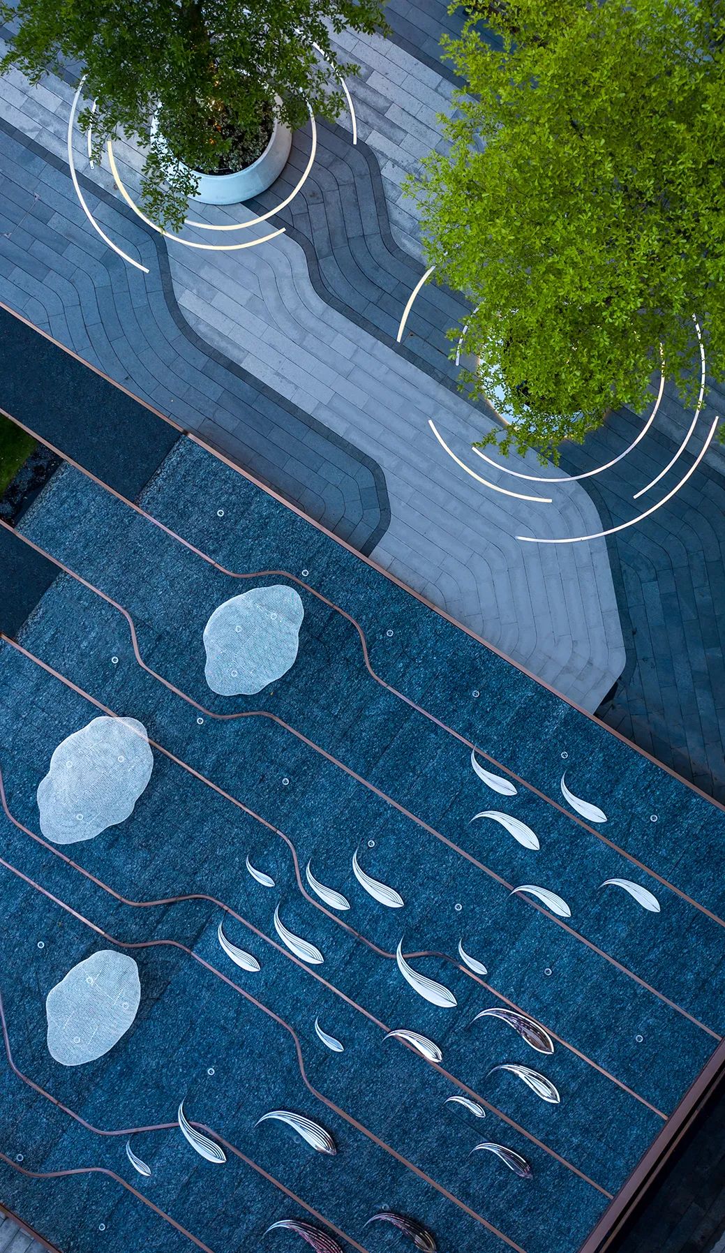 追梦的鱼儿 | 深圳华晖瑞禧-12