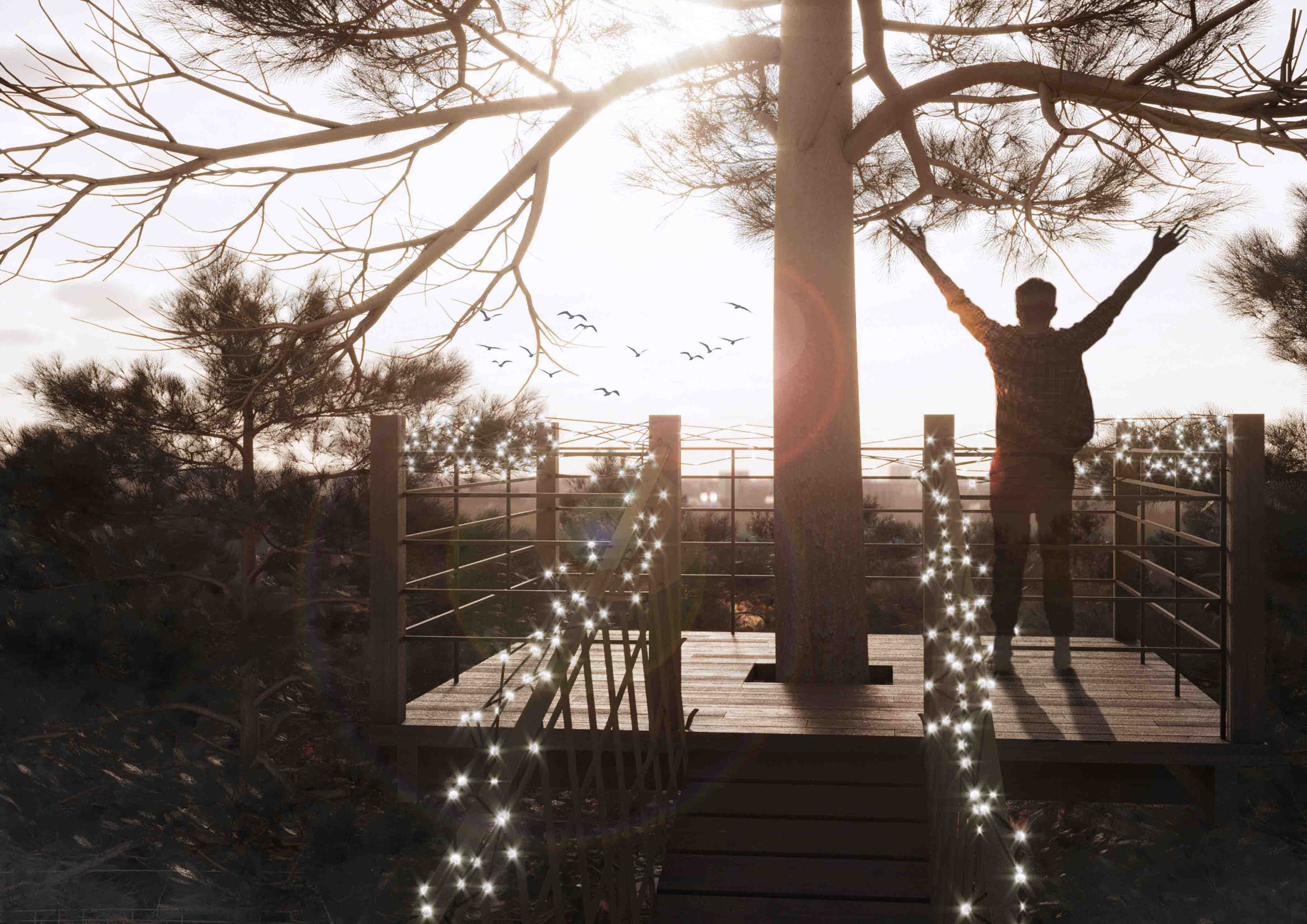 The territory of the banquet house "Dali"-31