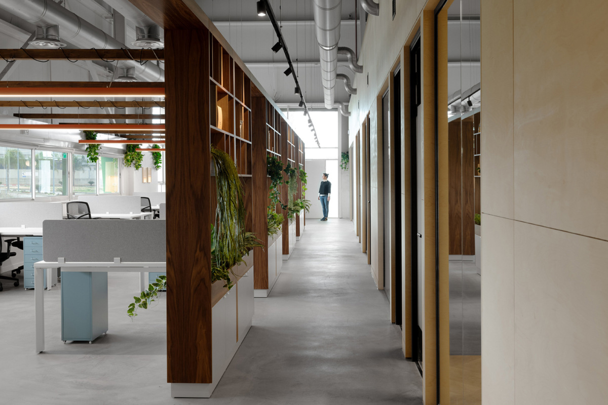 以色列石磨合作社办公室-13