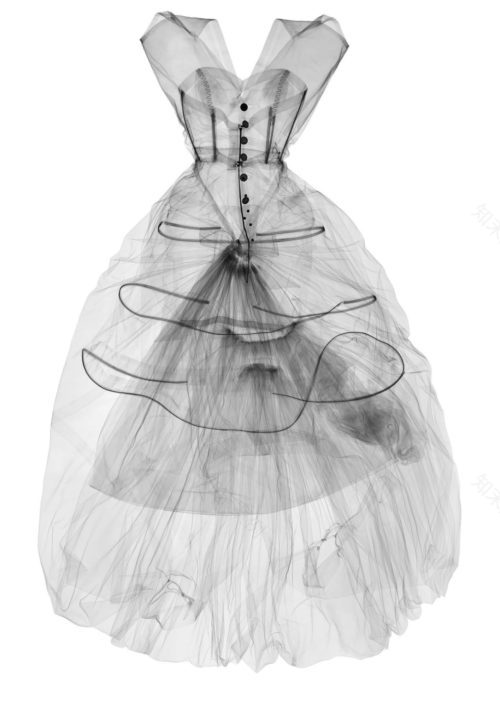 丨O’Donnell + Tuomey-21