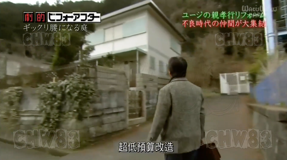 废墟庭院,漏水露台花园改造丨日本大阪丨金井良一-24