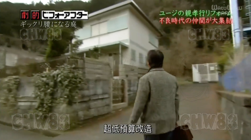 废墟庭院,漏水露台花园改造丨日本大阪丨金井良一-24