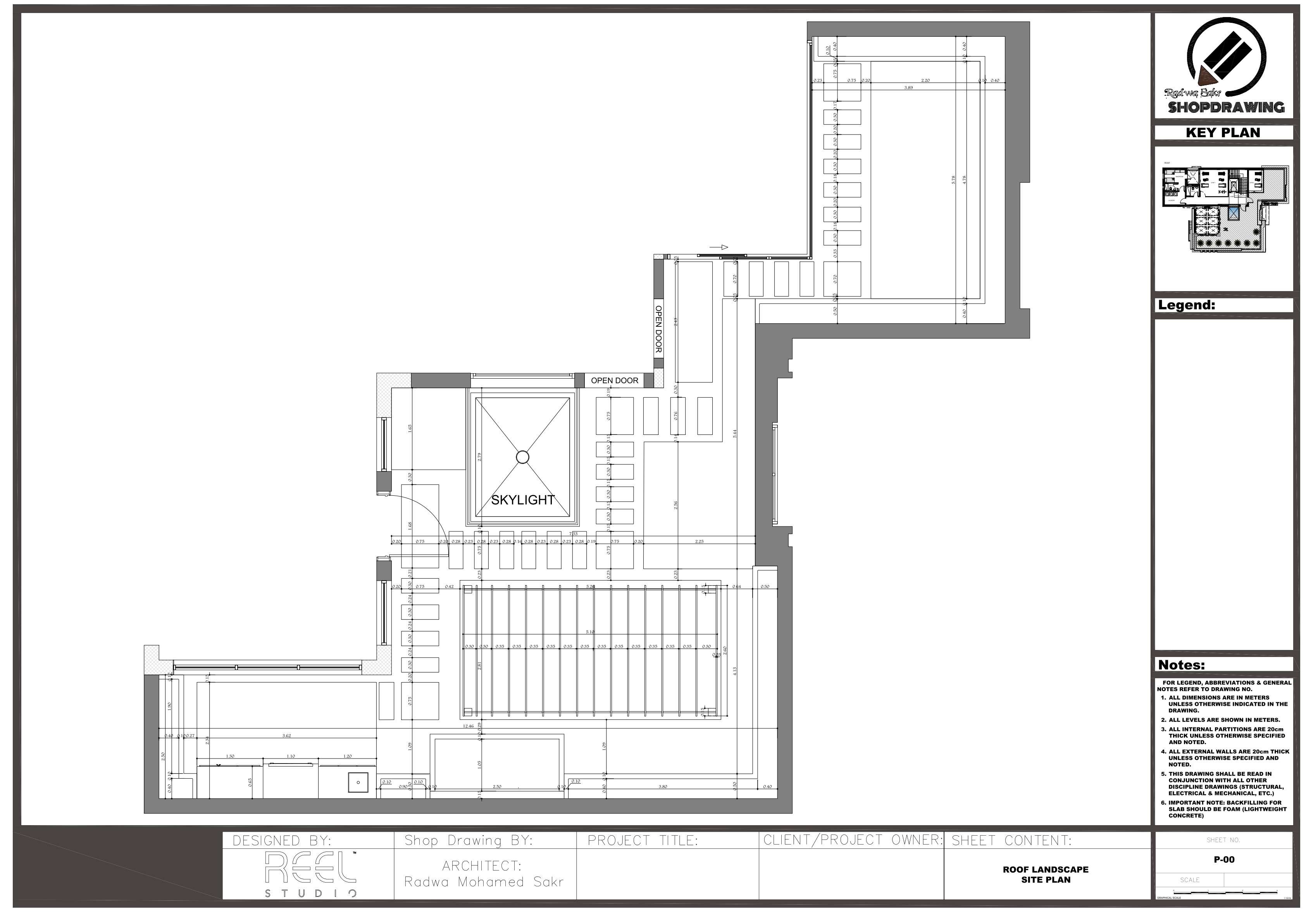 Shop Drawing For Roof Landscape-6