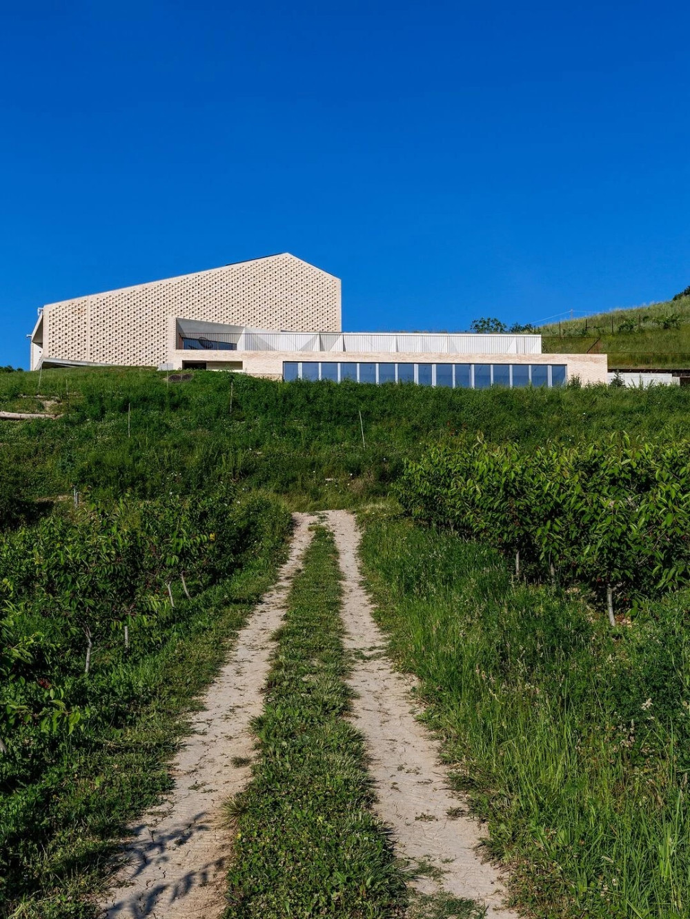 意大利乡村别墅,传统与现代的融合-33