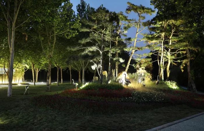 郑州经开区朝凤路景观提升改造 | 自然与艺术的融合-19