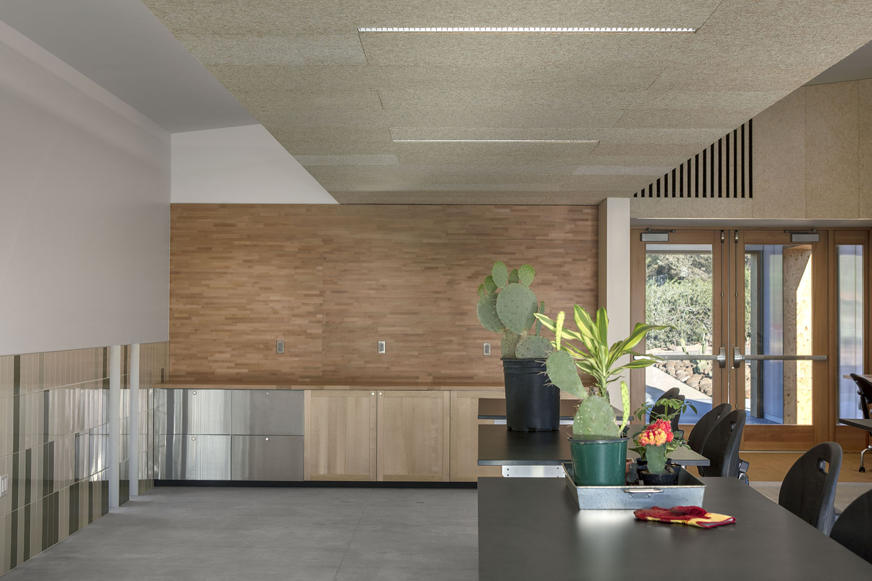 沙漠植物园一期丨美国-93