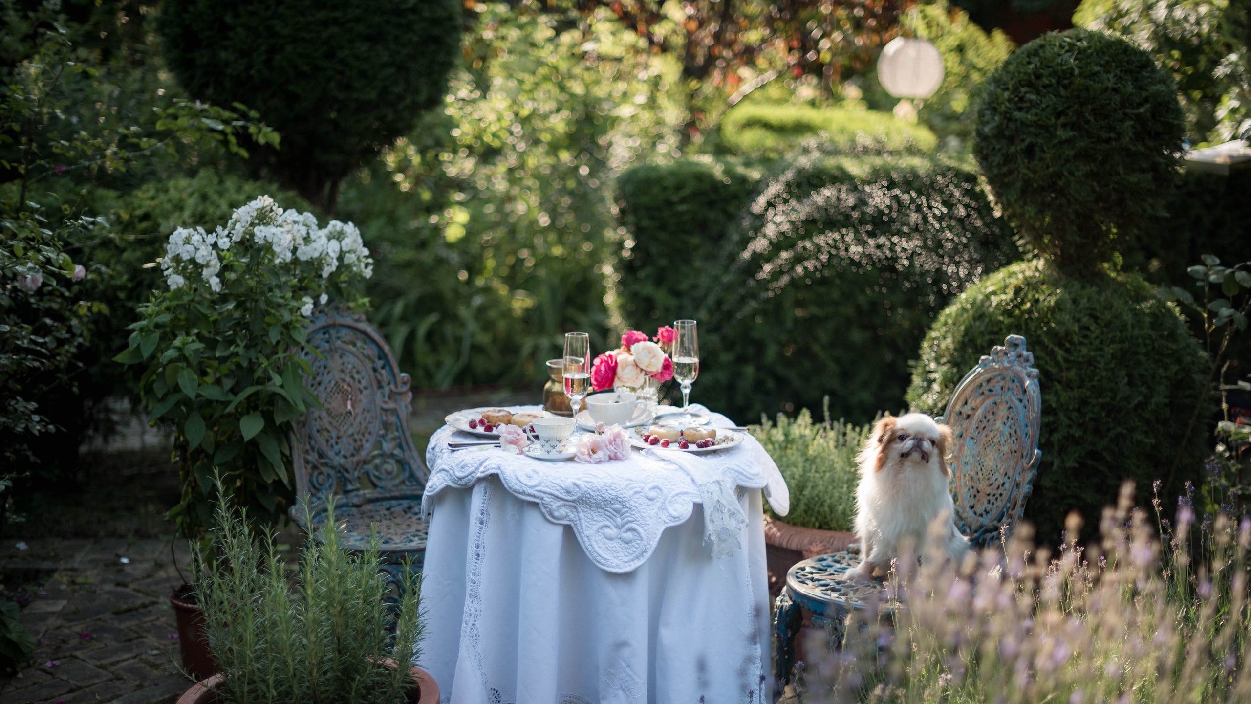 户外早餐服务布置案例（“Под кустом”花园）丨俄罗斯莫斯科丨室内设计师兼艺术史学家 Катя Гулюк-2