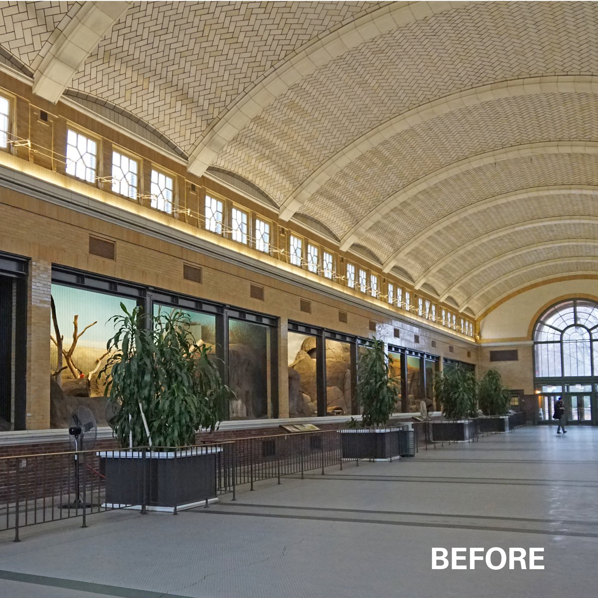 Pepper Family Wildlife Center at Lincoln Park Zoo Receives Two Awards from Landmarks Illinois-5