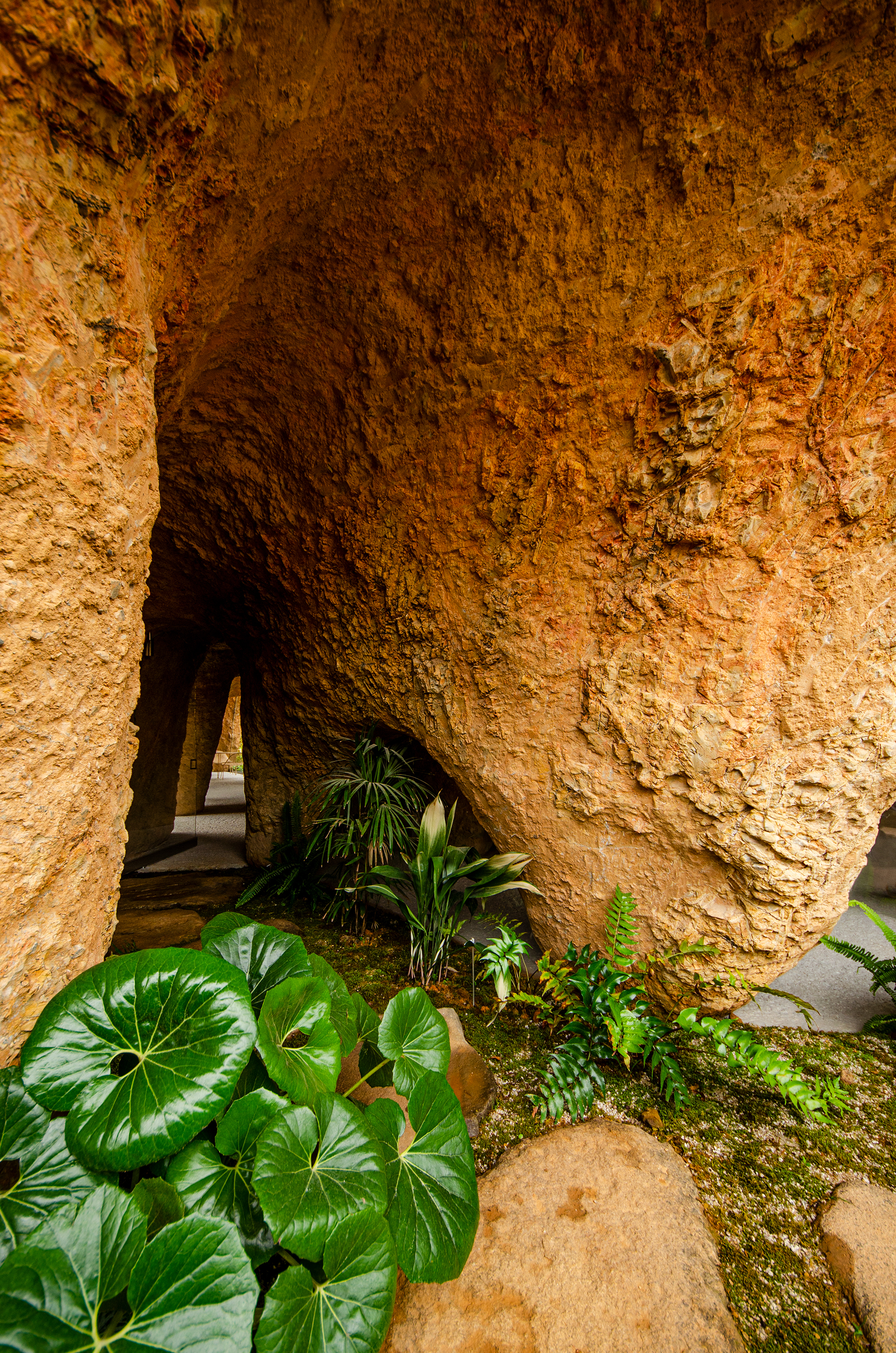 房屋与餐馆丨日本丨junya ishigami + associates-63