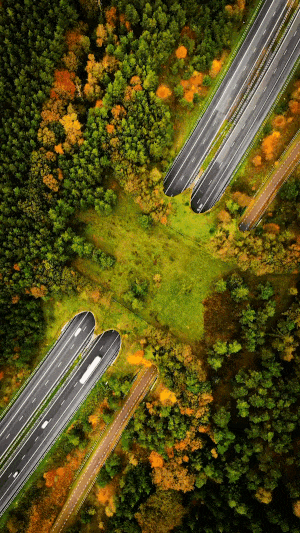 生态飘带景观桥丨澳大利亚堪培拉丨CX landscape-2