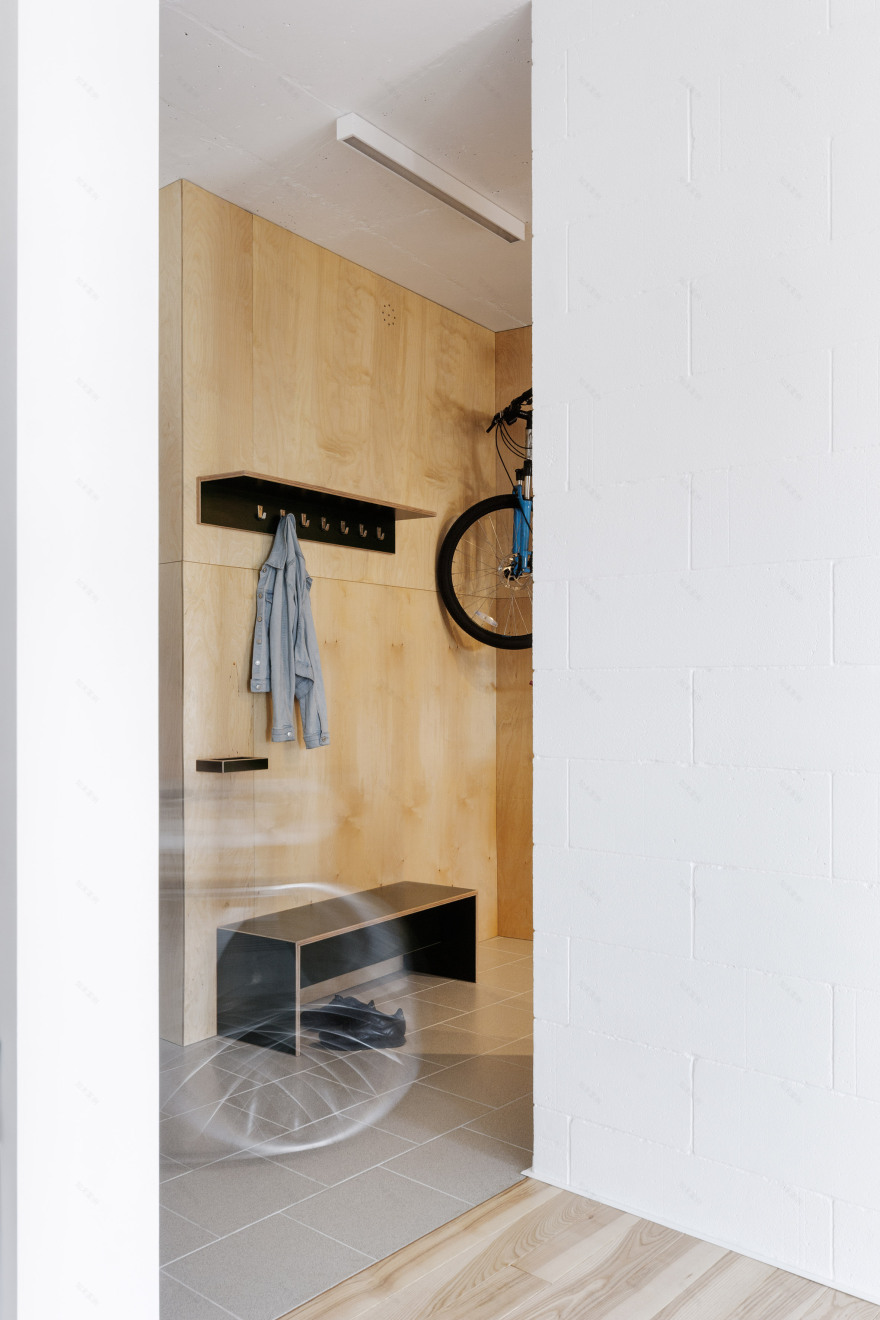 Green kitchen and wall of plants feature in low-budget apartment-19