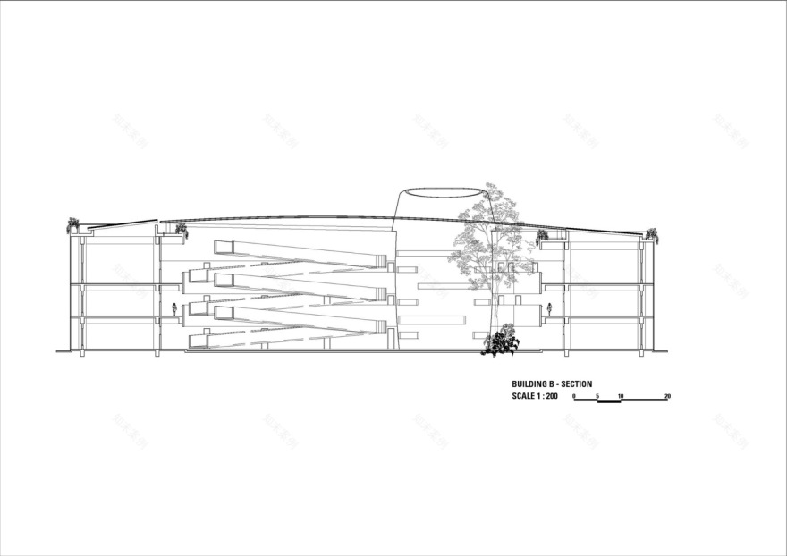 Binus Edupark Semarang 绿色校园丨印度-10