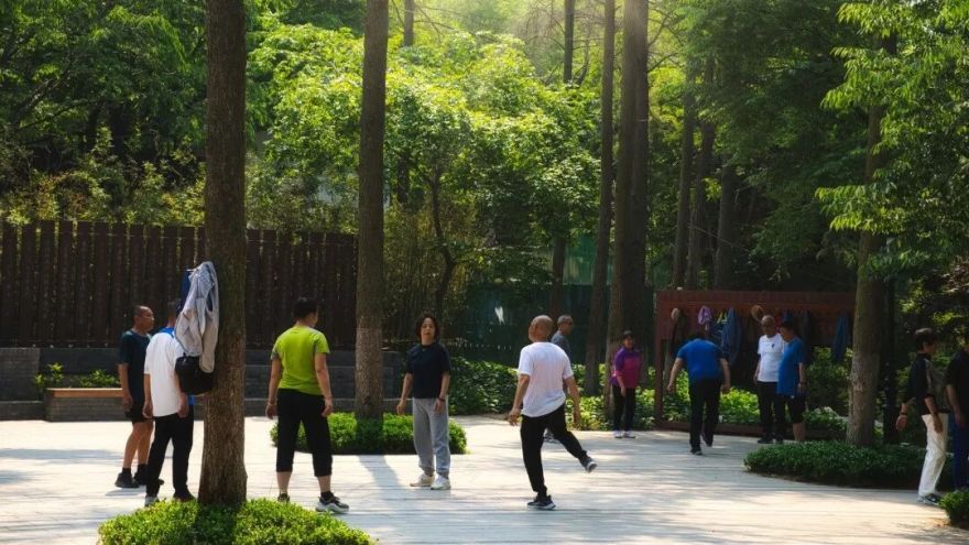 百姓乐园:榉林山焕新归来,悦享自然人文之美-30