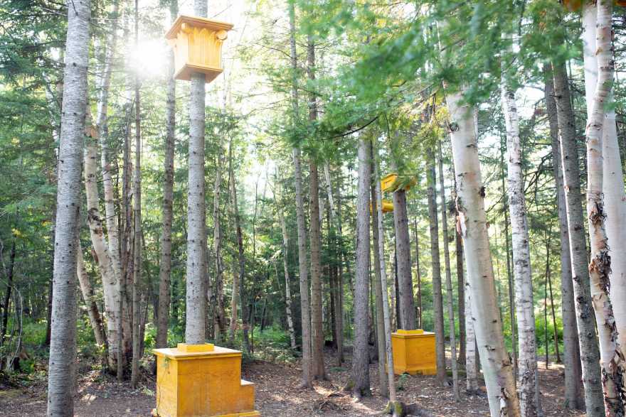 2019加拿大国际花园节(第二部分),Reford Gardens-66