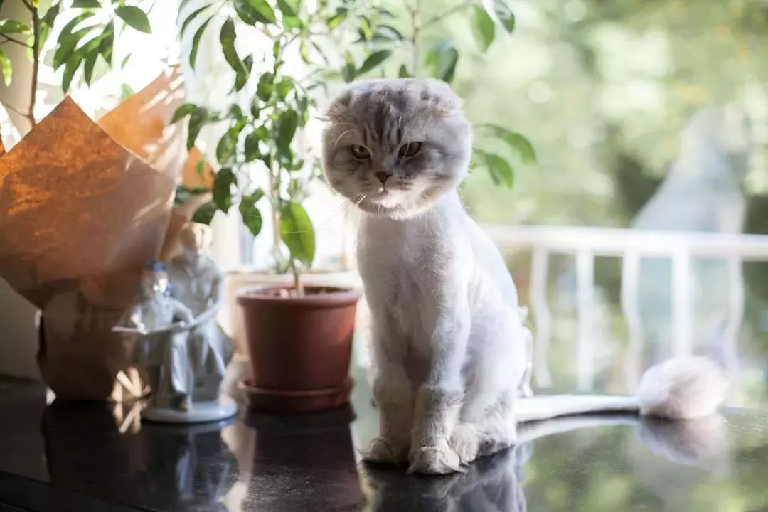 小户型设计 | 简约自然,五脏俱全-22