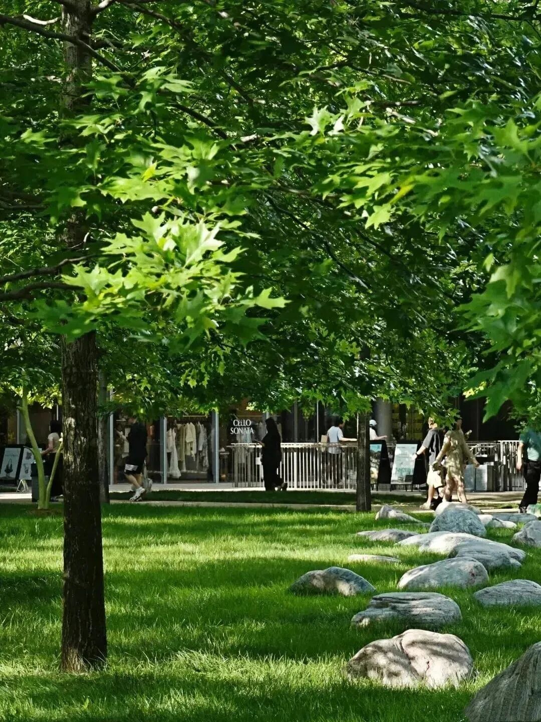 品鉴︱城市里的“垂直森林”——杭州天目里绿化园林景观的艺术与生态共生-13