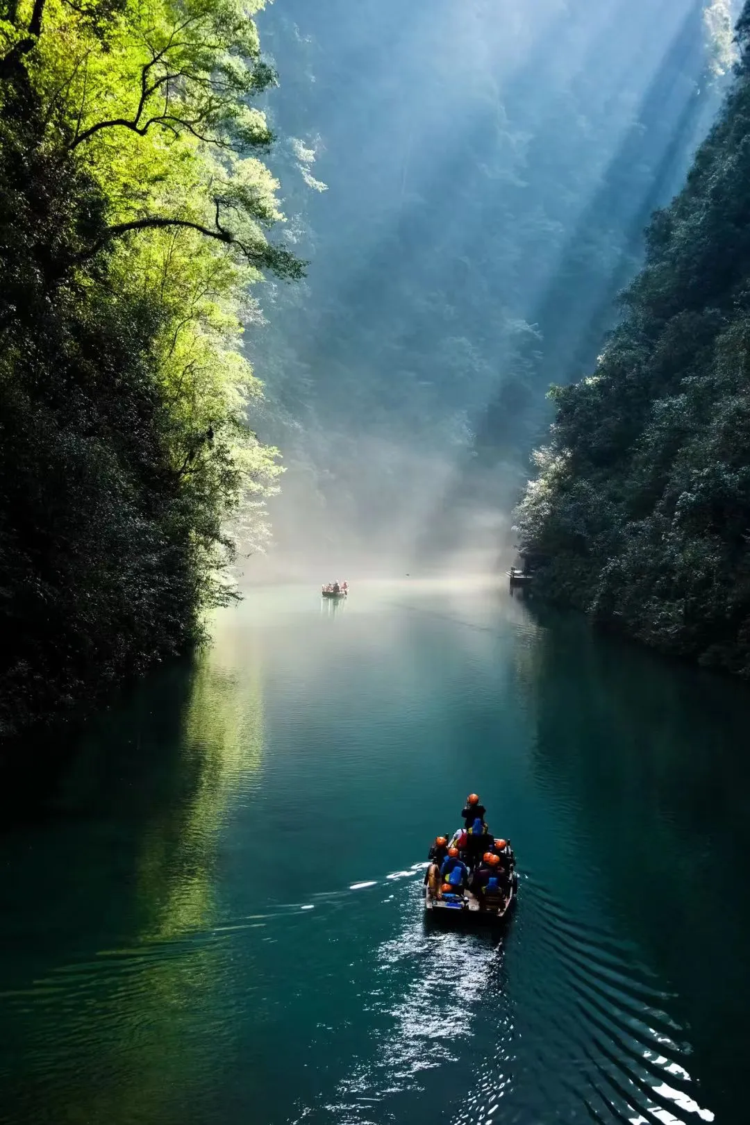 西兰卡普茶·食丨中国南京丨ARTSEA艾特斯设计 韩远洋-1