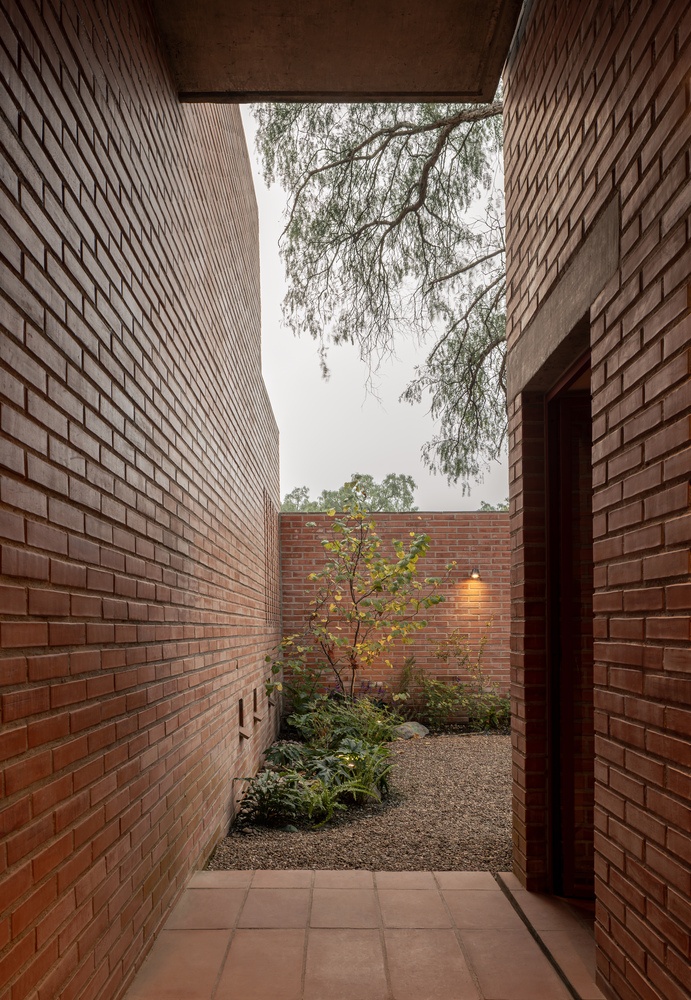 Pirules住宅丨墨西哥丨Escobedo Soliz-28