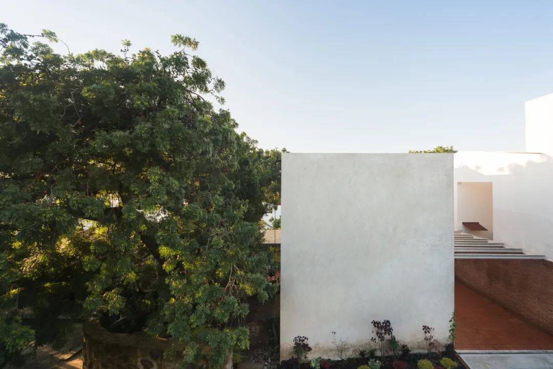 墨西哥 Productora 建筑事务所的超现实狂野建筑幻想-7