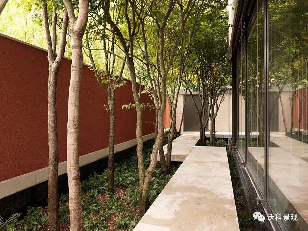 融入自然的别墅庭院设计-105