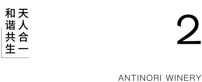 穿越时空的葡萄酒窖设计丨西班牙-34