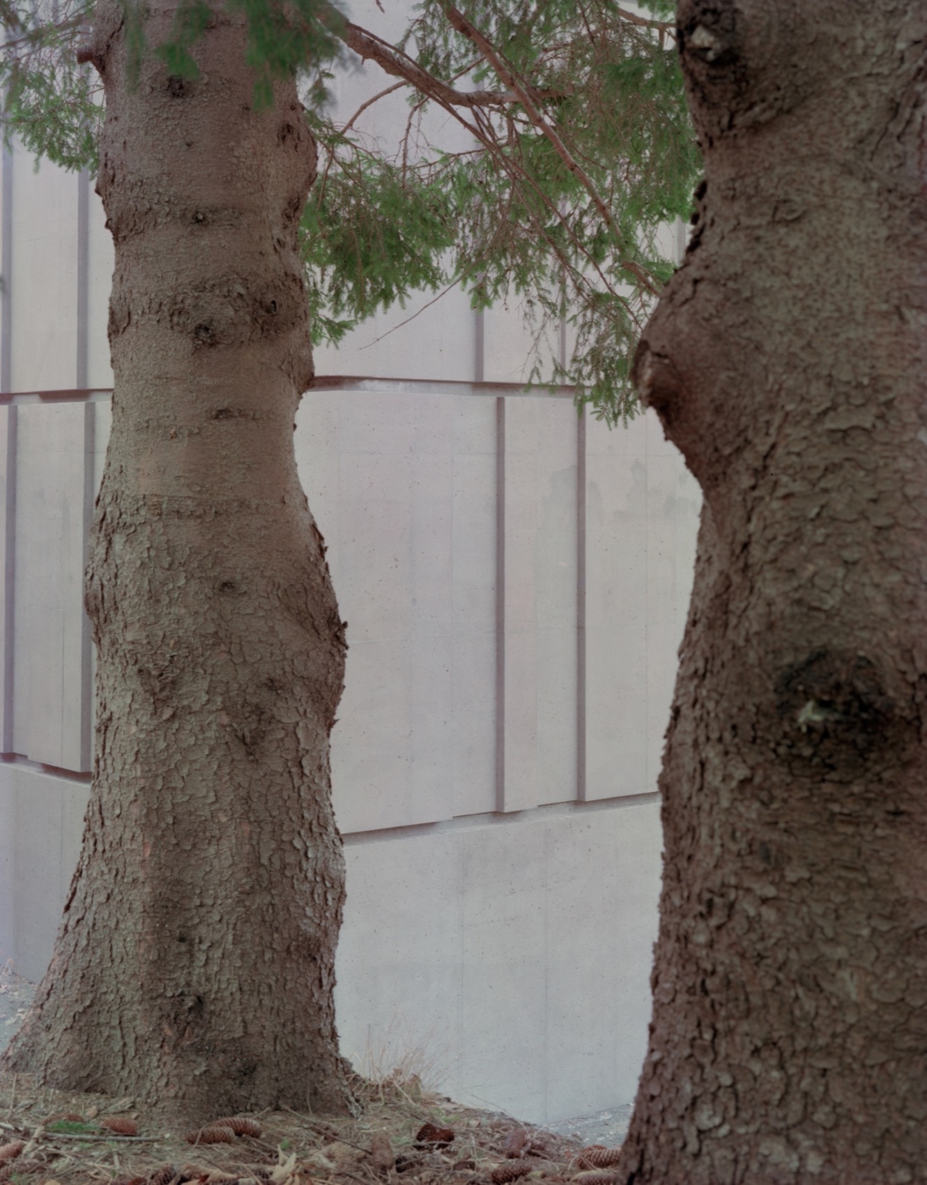 Splugap攀岩馆丨意大利-69