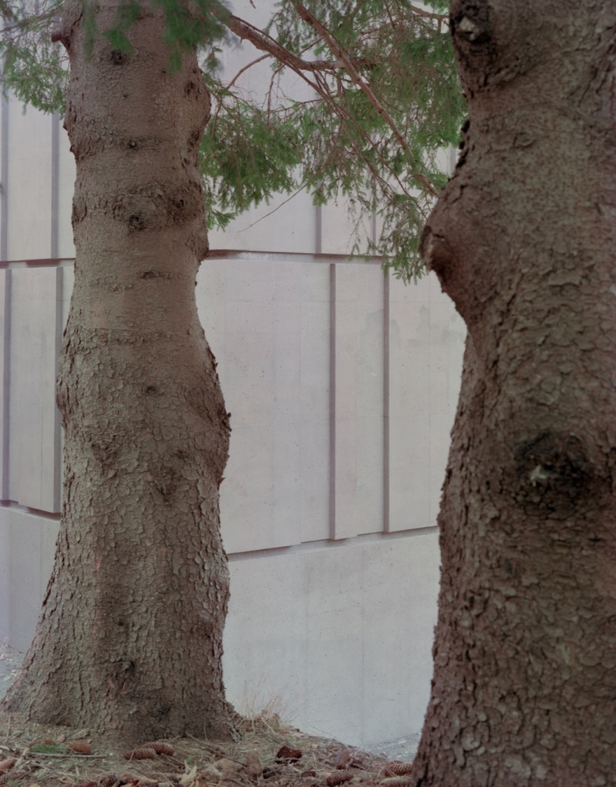 Splugap攀岩馆丨意大利-69