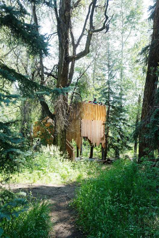 阿斯彭野生动物保护区的树屋奇观-2