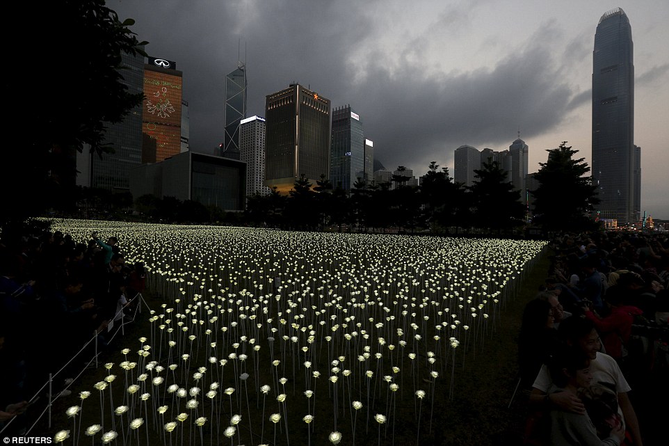 Light Rose Garden HK 玫瑰灯海园 – 香港站-11