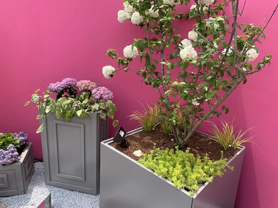 2019 西湖花园节创意花园设计亮点解读-89