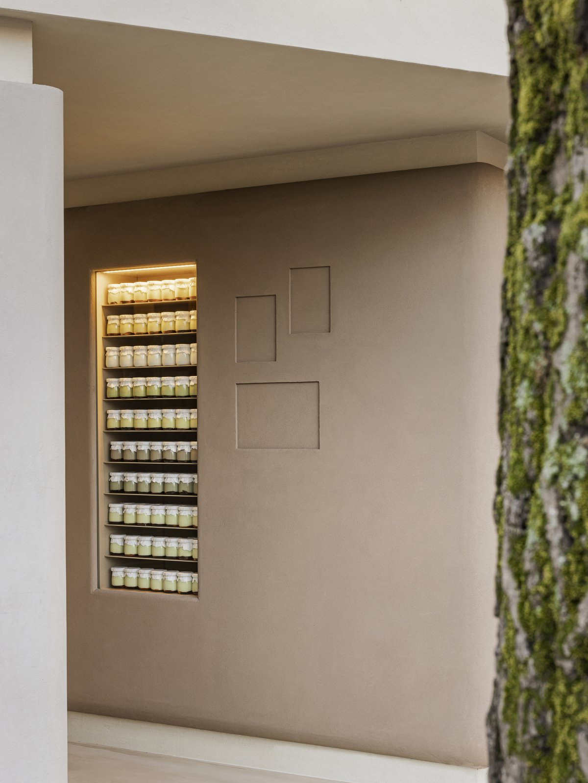 Punoya 商店丨韩国丨EVBR-6