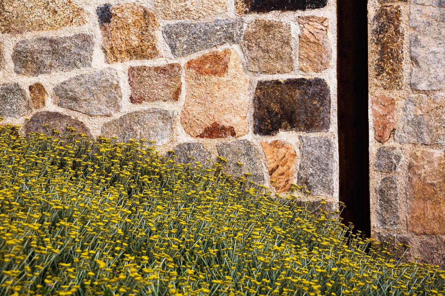 撒丁岛石屋的现代诠释-47