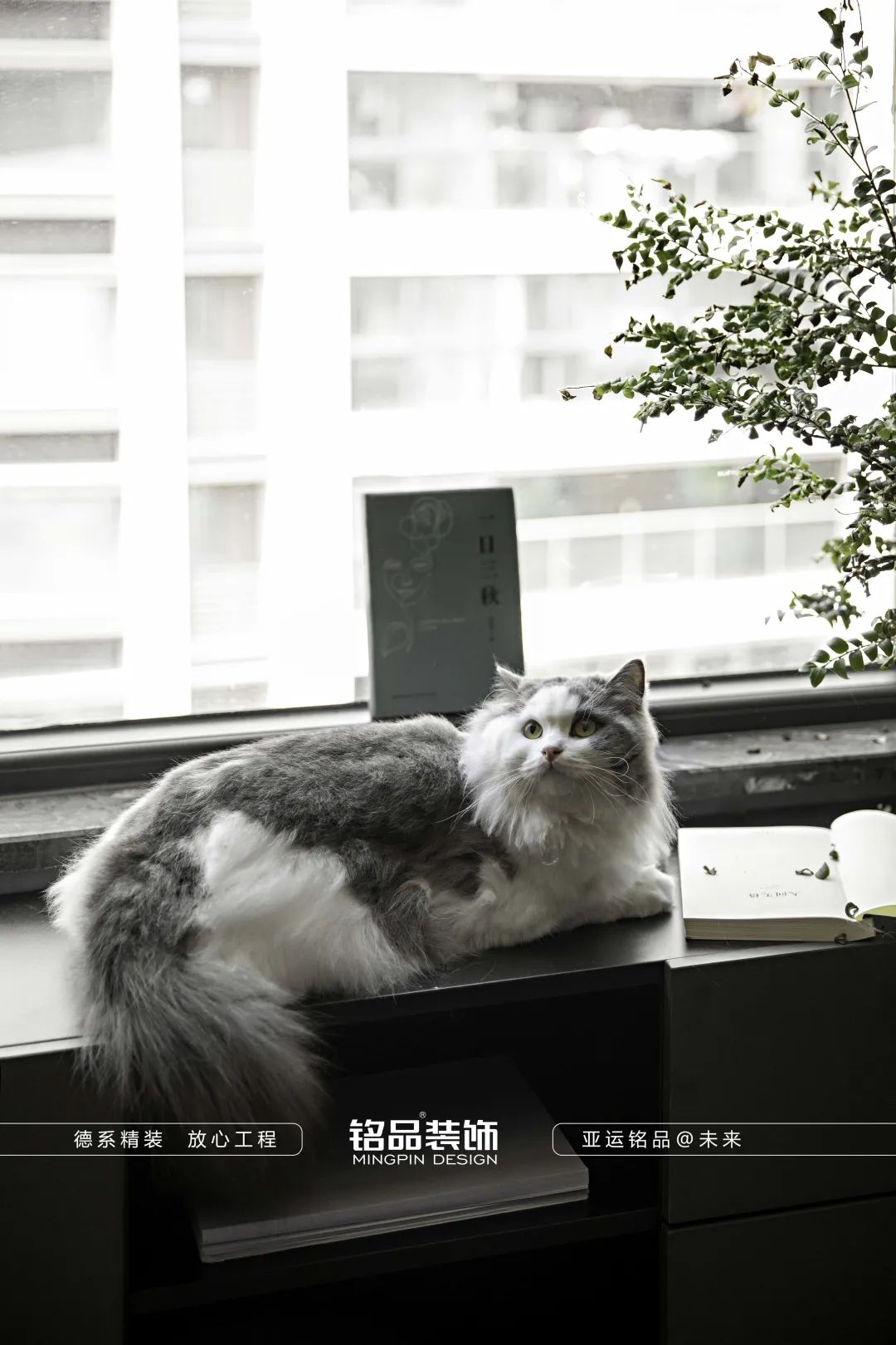 《2022家装设计洞察》丨铭品装饰-30