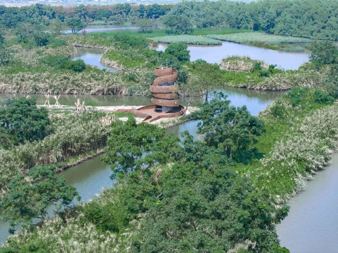 南沙湿地观鸟艺术竹构丨中国广州丨竖梁社,华南理工大学建筑学院-62