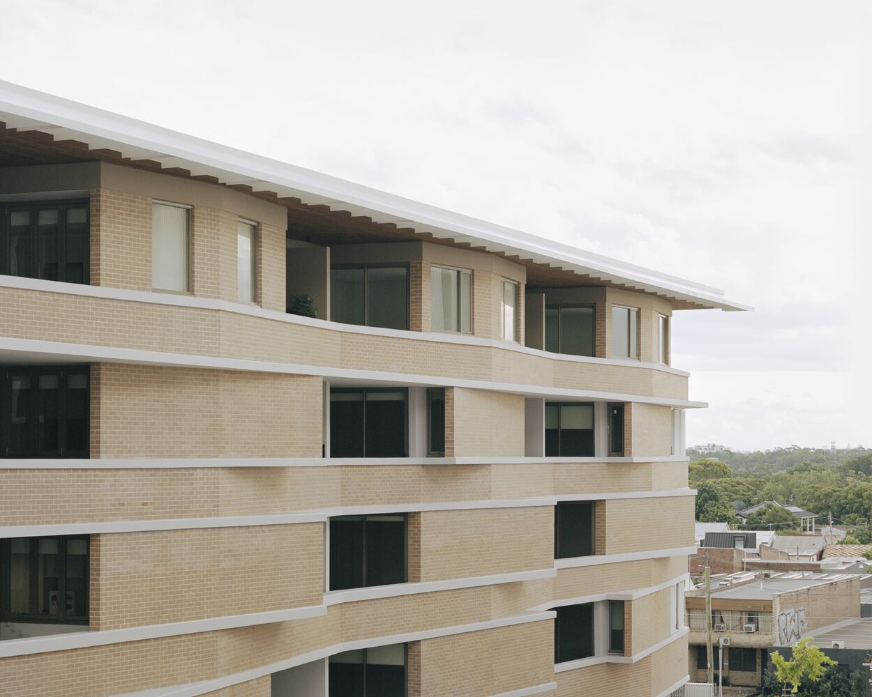 Botany Road 住宅区丨澳大利亚丨Candalepas Associates-44