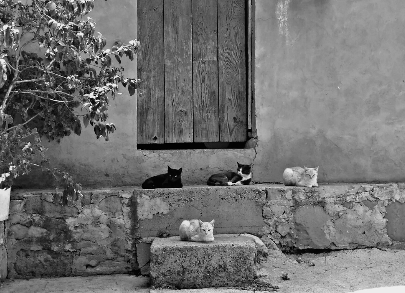 Personal Portafolio-8