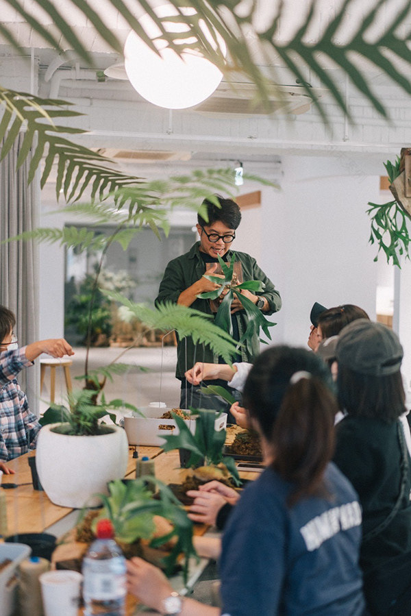 CornerGreen植角|植栽教學・森學【鹿角蕨居家佈置及上板課程】體驗工作坊-16