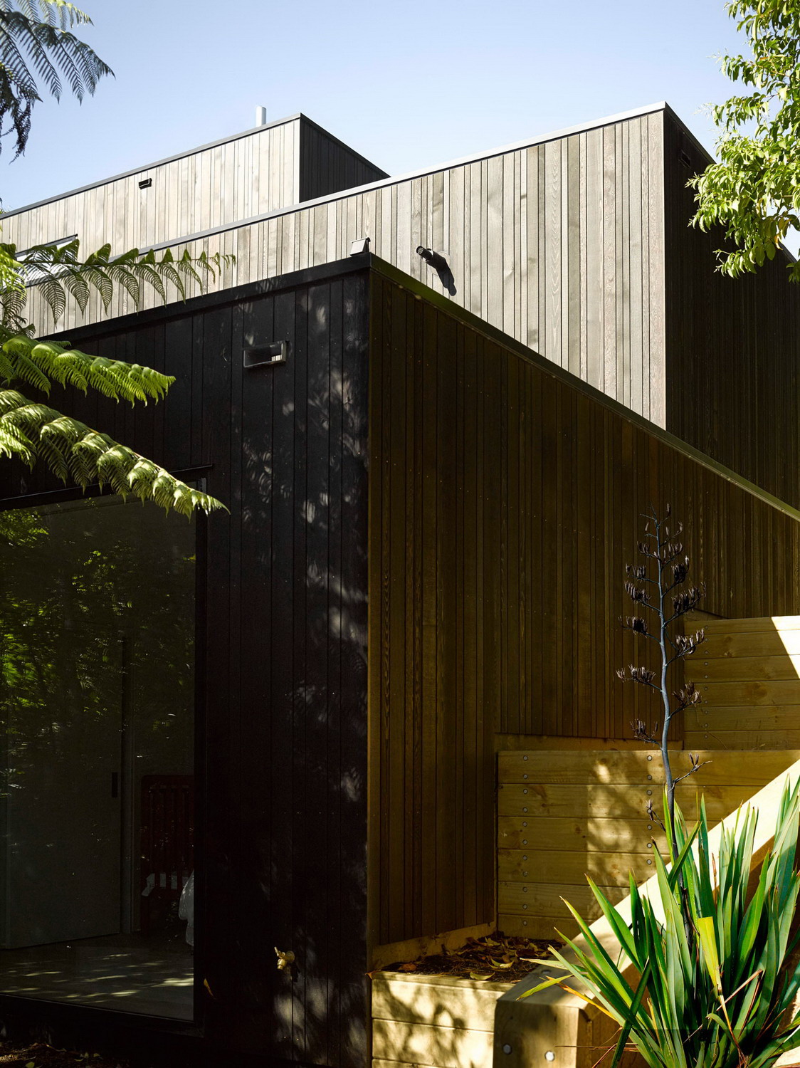 新西兰森林中的木制住宅-22