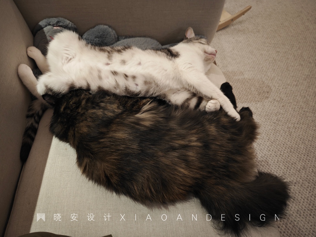 萌宠+二人世界,微侘寂美学戳中心巴丨晓安设计-44