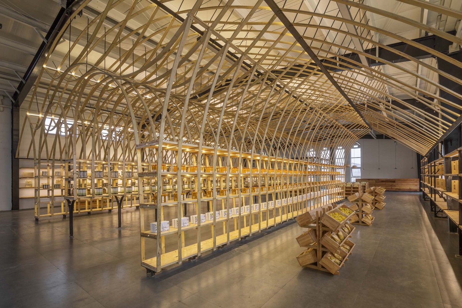 云台山冰菊展示架丨中国焦作丨LUO studio-37