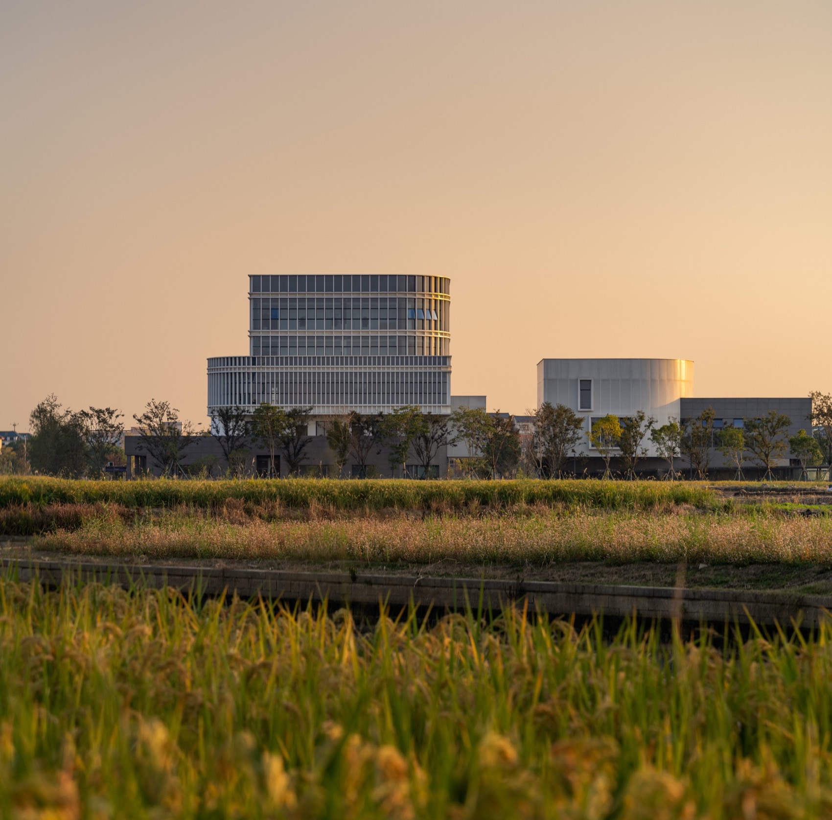 海宁国际花卉产业园丨中国浙江丨森上建筑+朴筑建筑-35