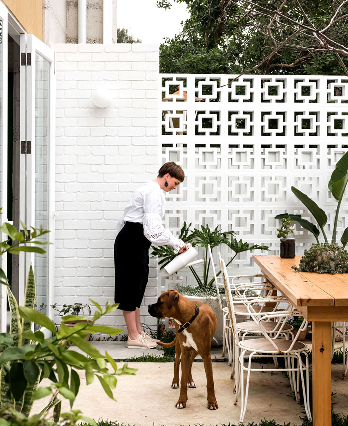 自然启发的生态屋-0