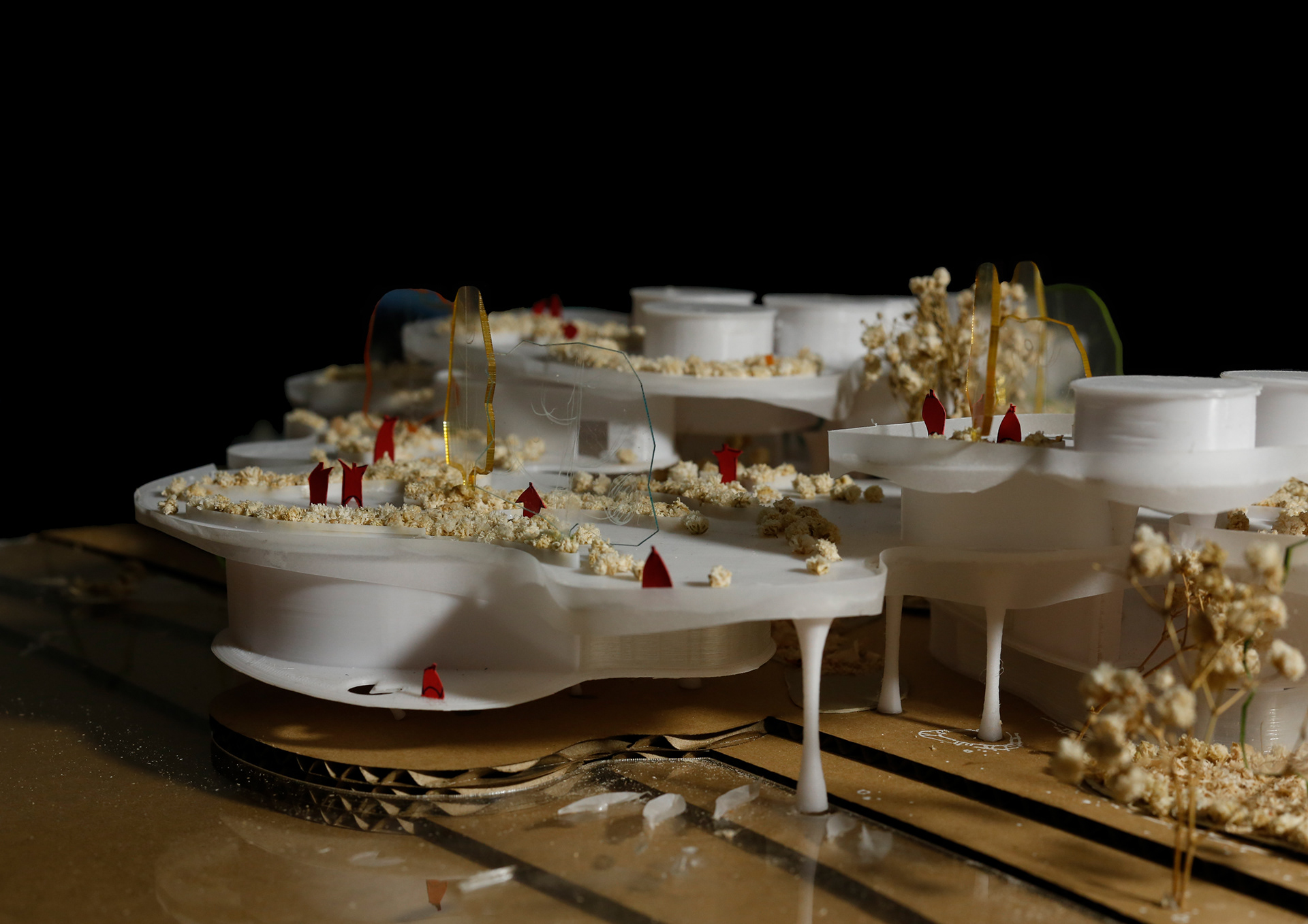 EXHIBITION CENTERS & PROMOTION OF AGRICULTURAL PRODUCTS-14