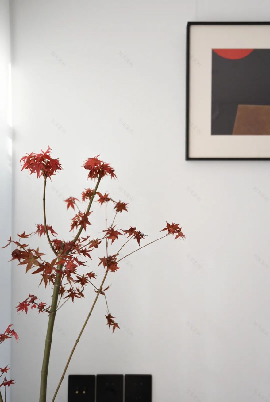 氛围营造家 | 都市中的自然诗意-61