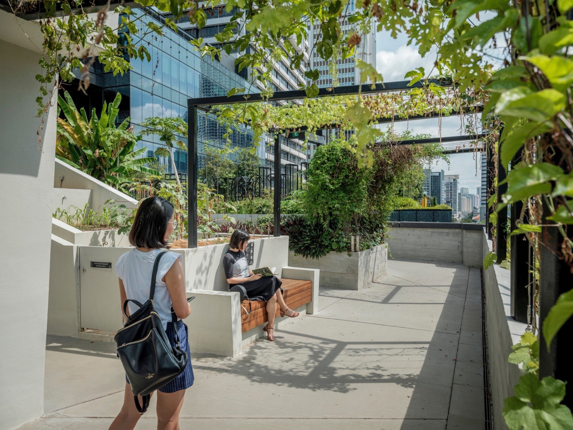 新加坡阜南购物中心周围景观丨grant associates 与 Woods Bagot 合作-19