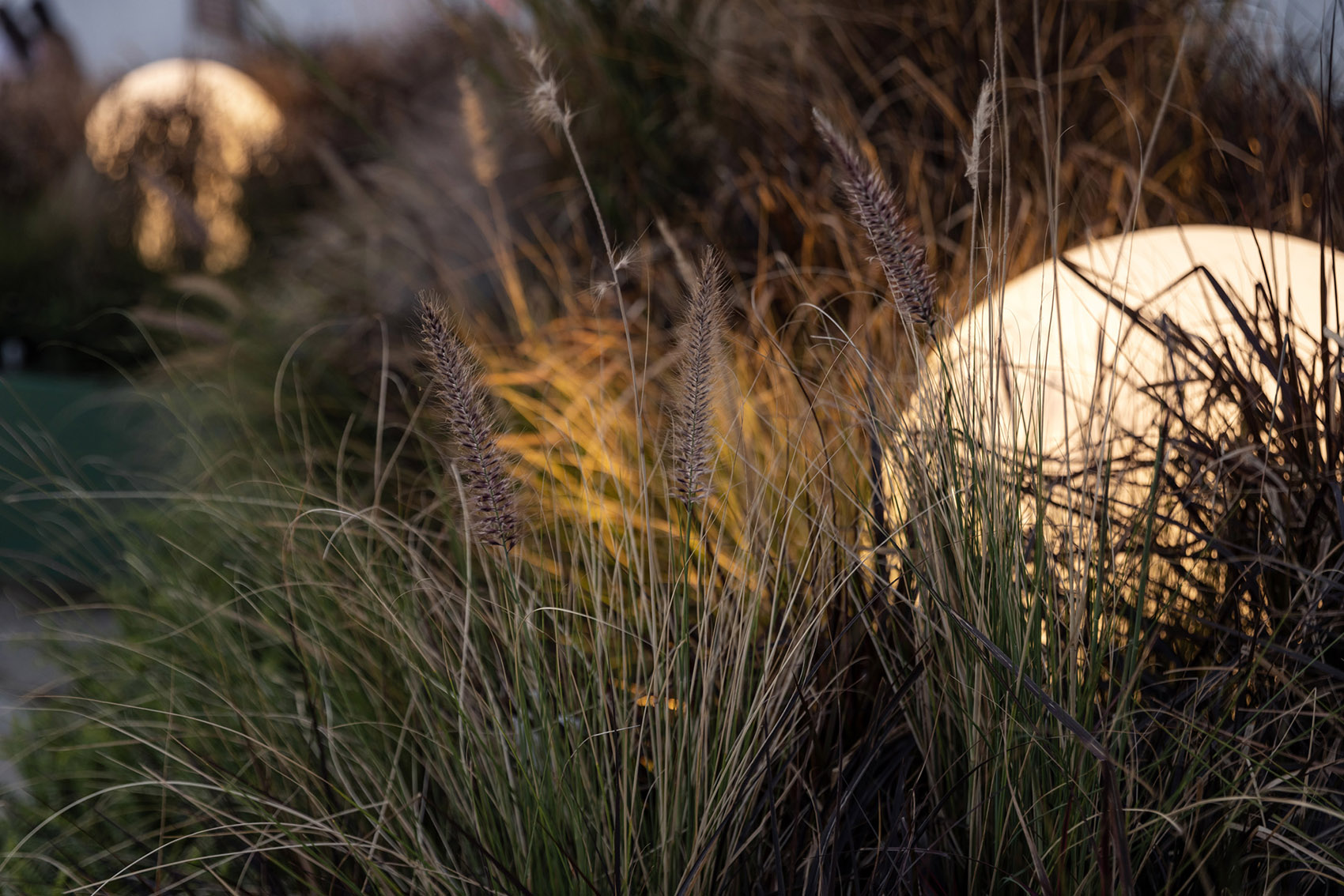 集泮·良食餐厅丨中国厦门丨壹壹文化,方式设计-17