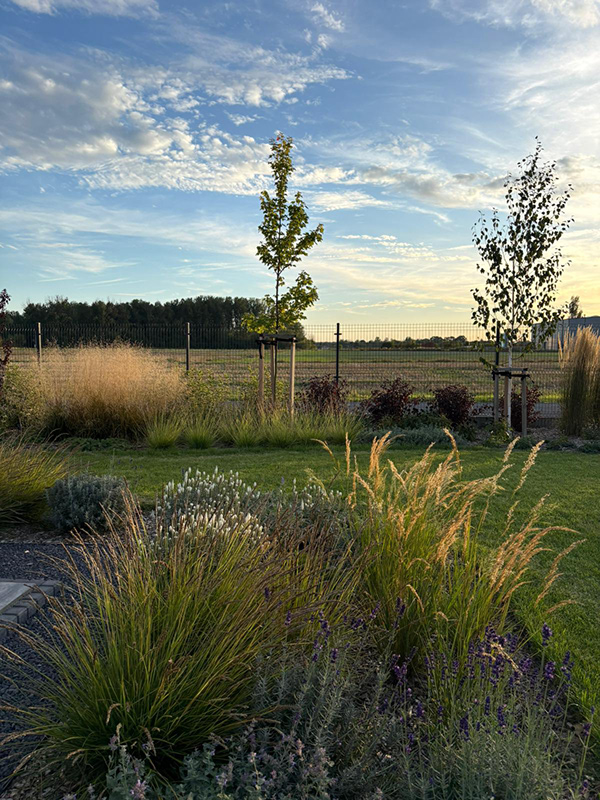 充满轻盈与和谐的花园设计-4