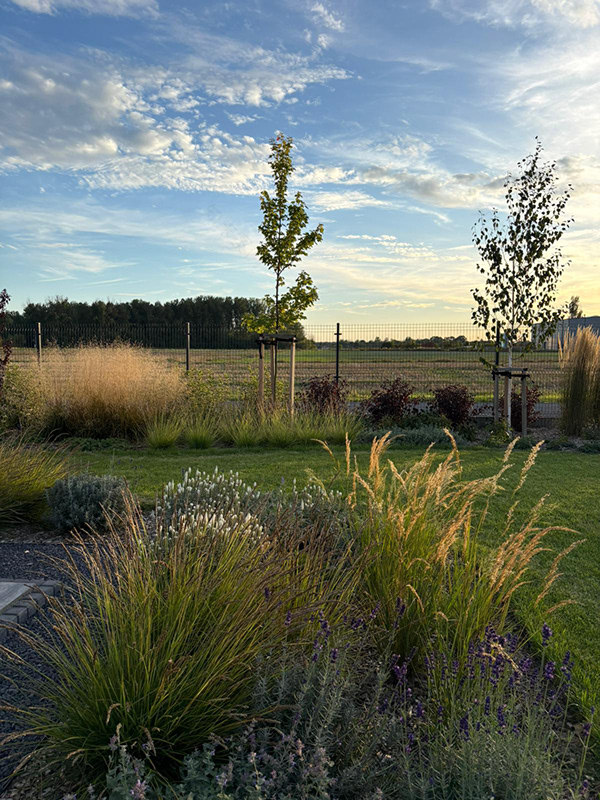 充满轻盈与和谐的花园设计-4